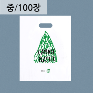 생분해 팬시봉투[중] 100장350*450친환경 봉투